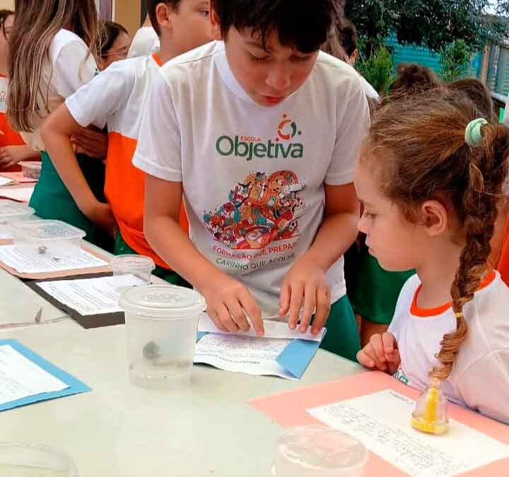Da Educação Infantil para o Ensino Fundamental