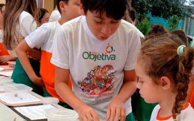 Da Educação Infantil para o Ensino Fundamental