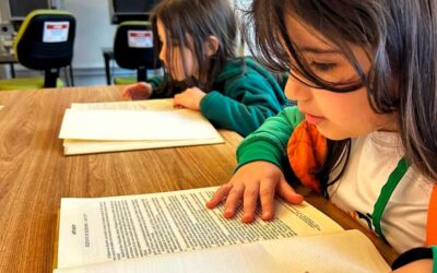 Inteligências múltiplas